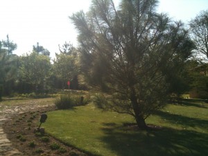 fotoblogSB10