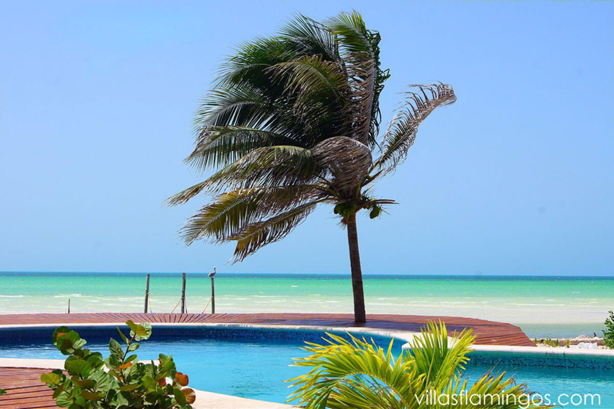 hoteles-boutique-de-mexico-hotel-villas-flamingos-galeria-12