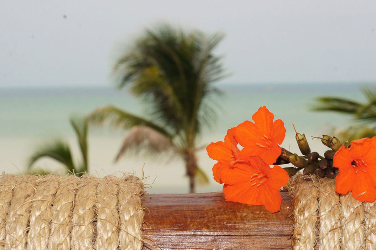 hoteles-boutique-de-mexico-hotel-villas-flamingos-galeria-4