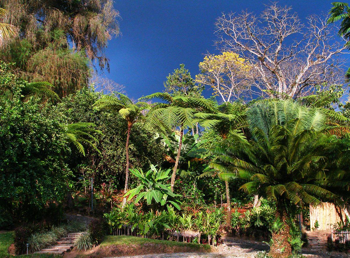 Mexico Boutique Hotels, Argovia Finca Resort