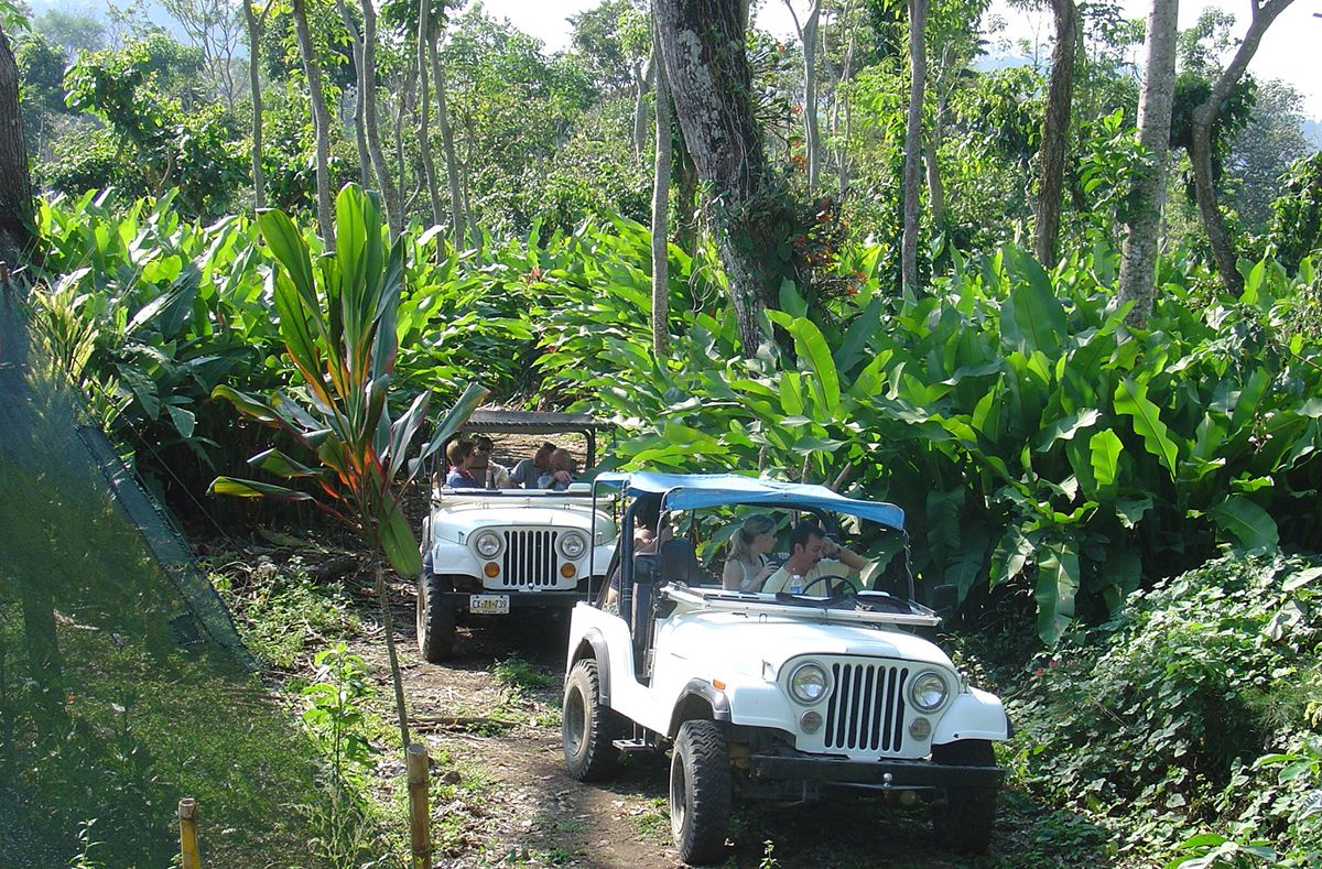 Mexico Boutique Hotels, Argovia Finca Resort