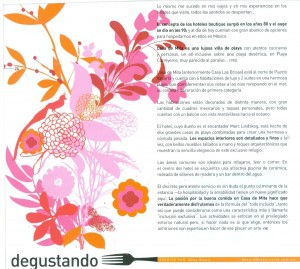 Sabor-e-arte-El Paraíso-hotel-casa-de-mita