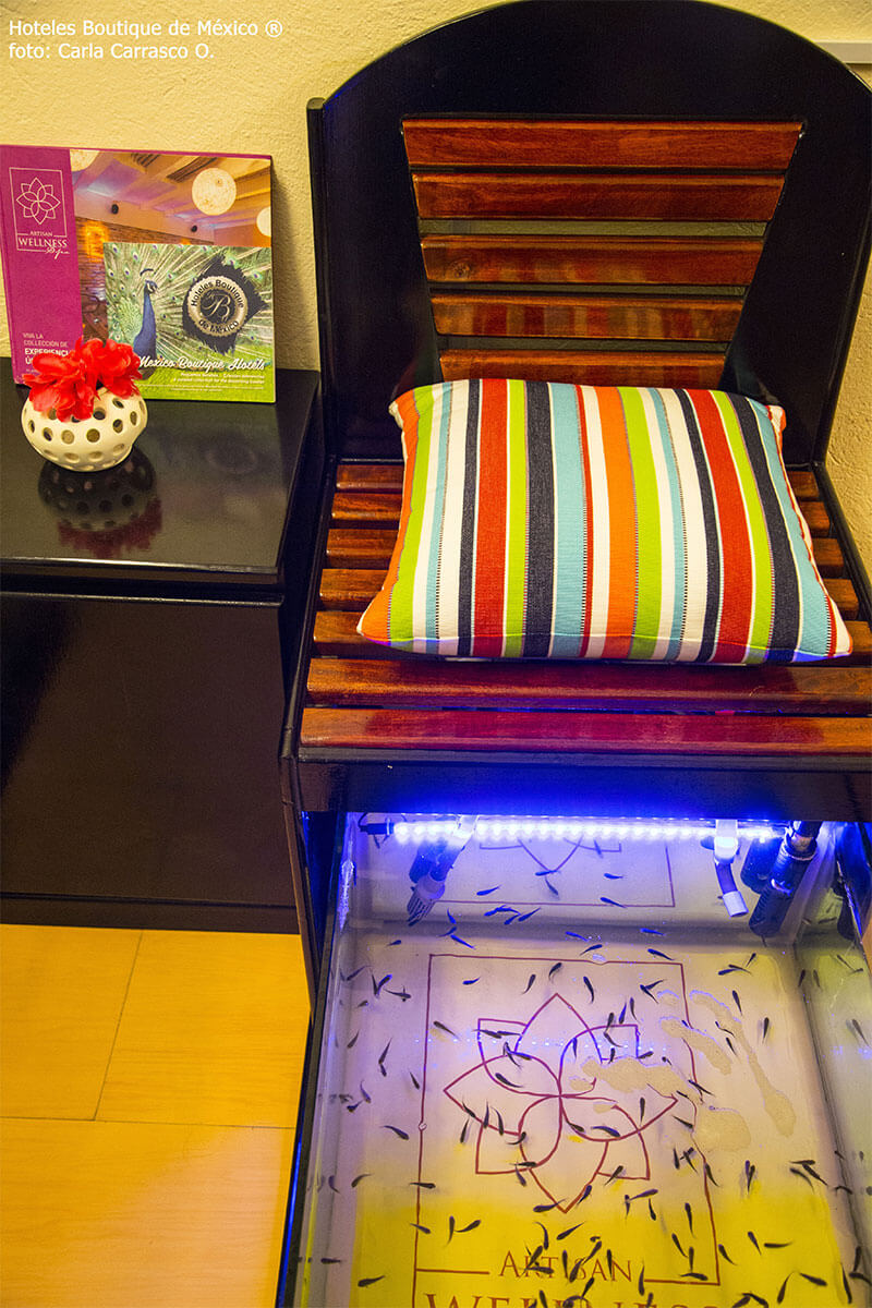 hoteles-boutique-de-mexico-hotel-Artisan9
