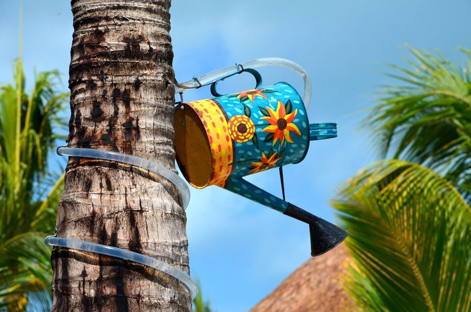 hotel--villas-flamingos-holbox-016