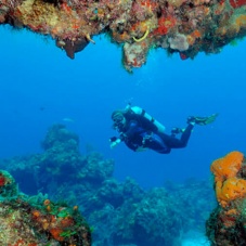 Cozumel en la Red Mundial de Reservas de la Biosfera