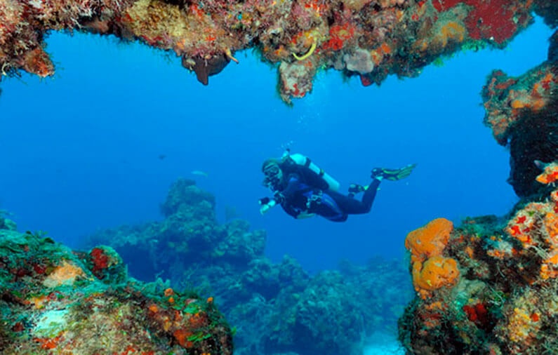 Cozumel en la Red Mundial de Reservas de la Biosfera