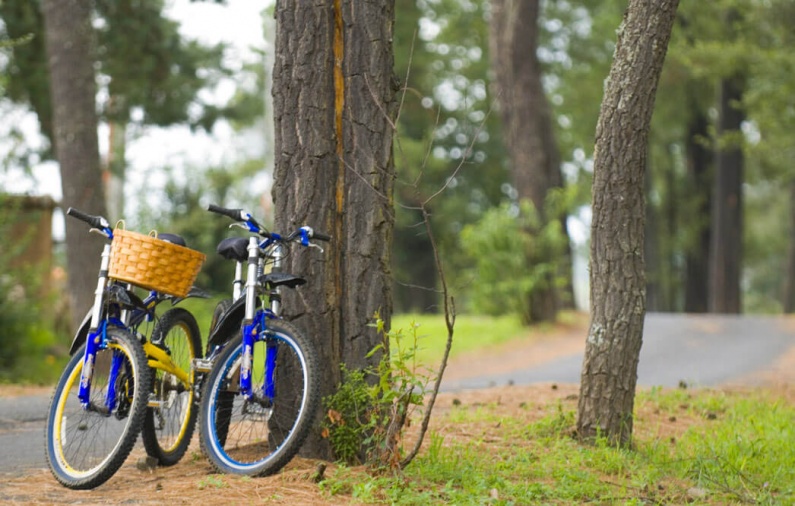 ¡A rodar se ha dicho! Lugares perfectos para andar en bicicleta