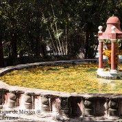 hoteles-boutique-de-mexico-cuernavaca-moreles-4