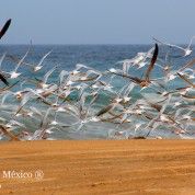 hoteles-boutique-de-mexico-destino-costalegre-jalisco-11