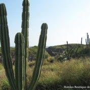 hoteles-boutique-de-mexico-destino-costalegre-jalisco-6