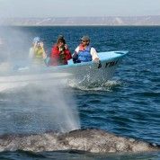hoteles-boutique-de-mexico-destino-la-paz-baja-california-sur-6