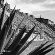 hoteles-boutique-de-mexico-destino-oaxaca-oaxaca-30