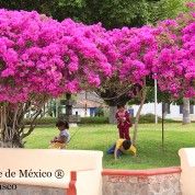 hoteles-boutique-de-mexico-destino-sayula-jalisco-16