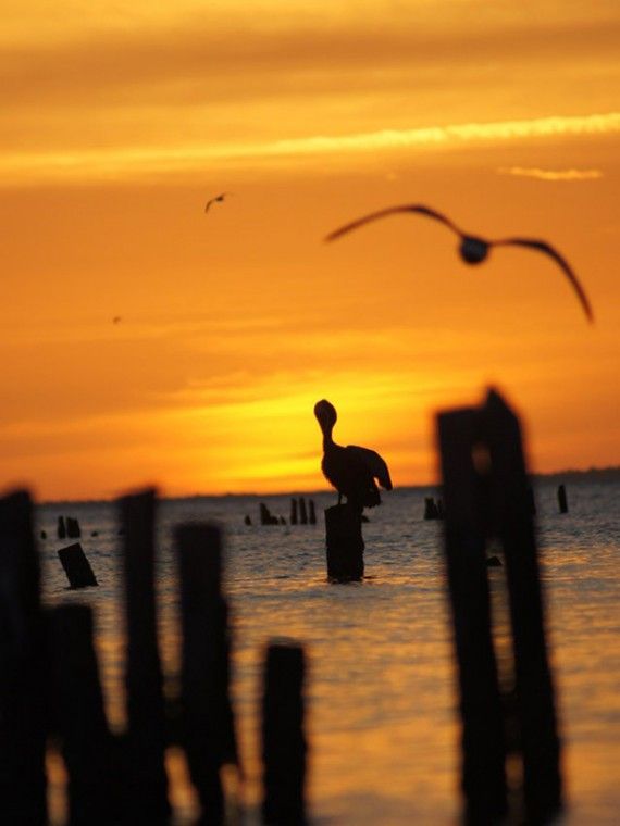 Isla Holbox