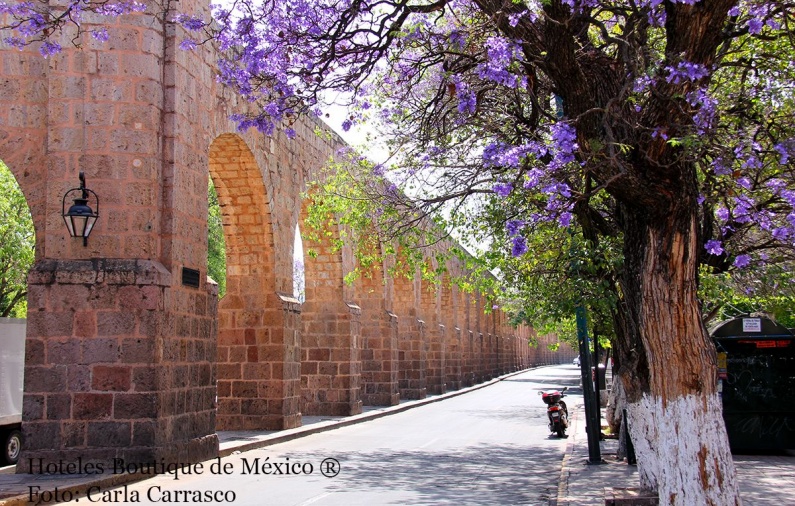 Festival de Música de Morelia