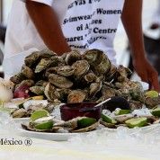 hoteles-boutique-de-mexico-puerto-vallarta-jalisco-7