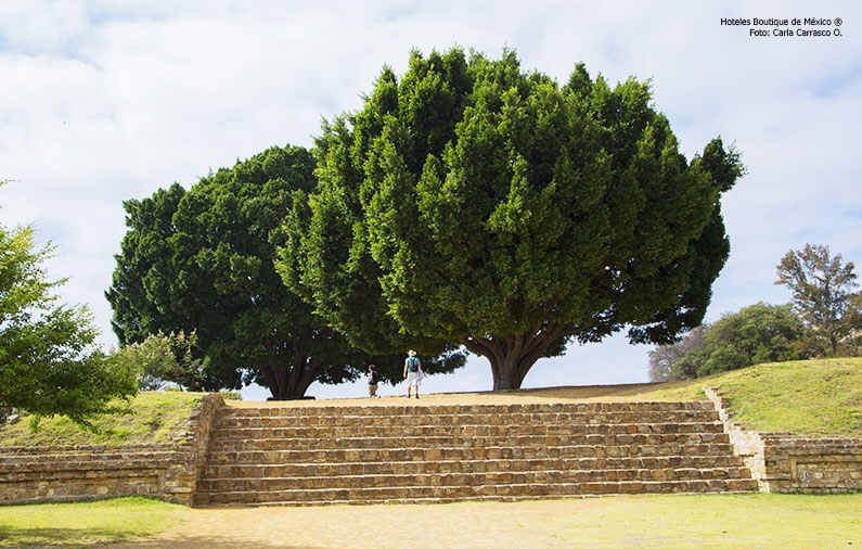 Equinoccio de Primavera, los mejores lugares para vivirlo al máximo