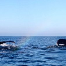 CONOCIENDO LOS ALREDEDORES DE MAZUNTE