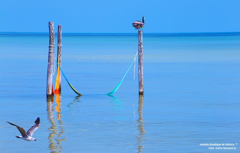 Hammocks We Love: Five Fun Places to Put your Feet Up.