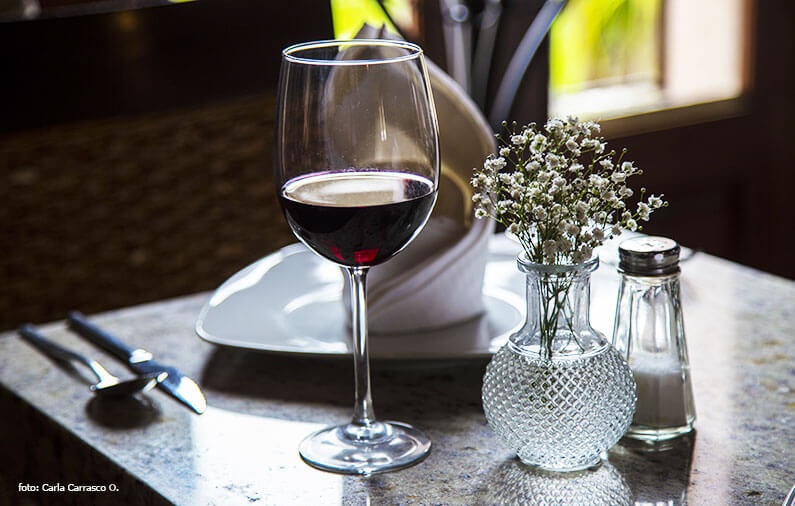 Cheese, wine and some curious information – 100 mexican wines 2018