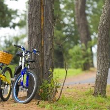 ¡A rodar se ha dicho! Lugares perfectos para andar en bicicleta