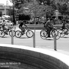 Guadalajara Film Festival