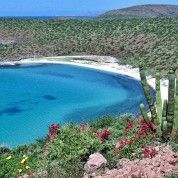 hoteles-boutique-de-mexico-destino-la-paz-baja-california-sur-10