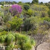 hoteles-boutique-de-mexico-destino-oaxaca-oaxaca-5