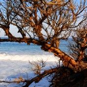 hoteles-boutique-de-mexico-destino-punta-de-mita-nayarit-1