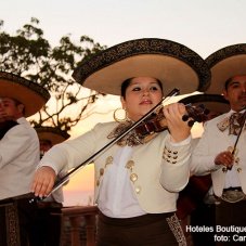 Fashionable Jalisco