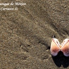 Secluded & beautiful beaches in Mexico