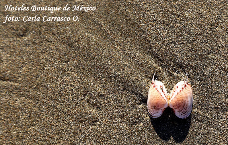 Playas aisladas y hermosas en México
