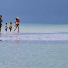 Guía familiar por Isla Holbox