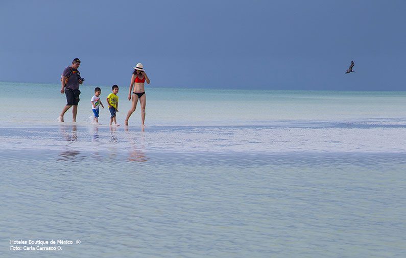Family guide by Isla Holbox