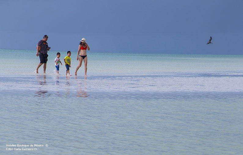 Guía familiar por Isla Holbox