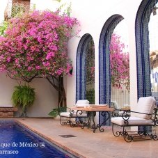 Bougainvillea Fest at Hacienda San Angel