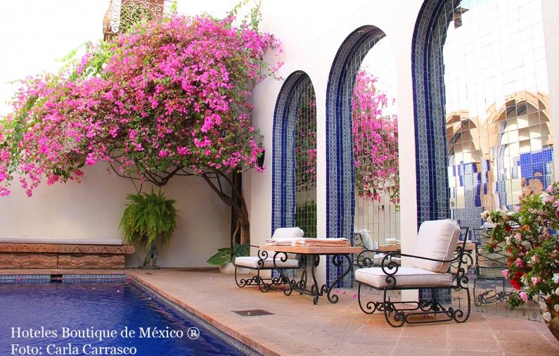 Bougainvillea Fest at Hacienda San Angel