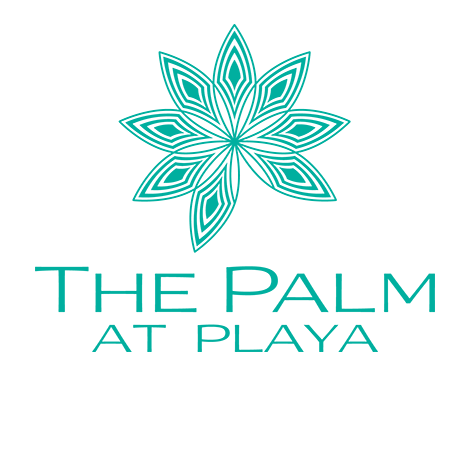 The Palm at Playa