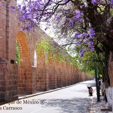 Festival de Música de Morelia