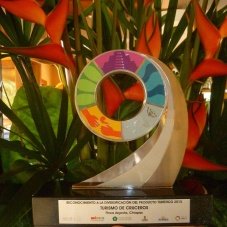 Cruise Tourism Recognition