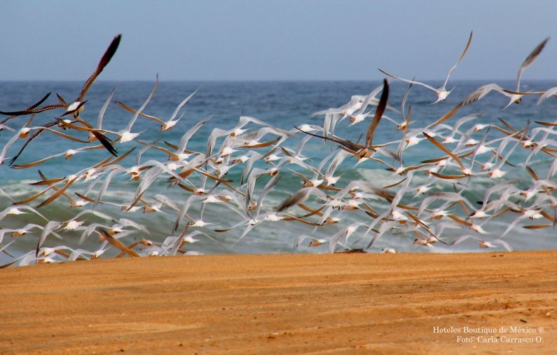 Visit these three beautiful beach destinations to stay away from crowds