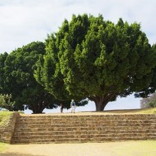 Equinoccio de Primavera, los mejores lugares para vivirlo al máximo