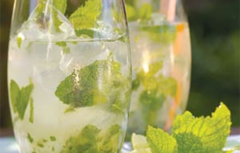 Mojito